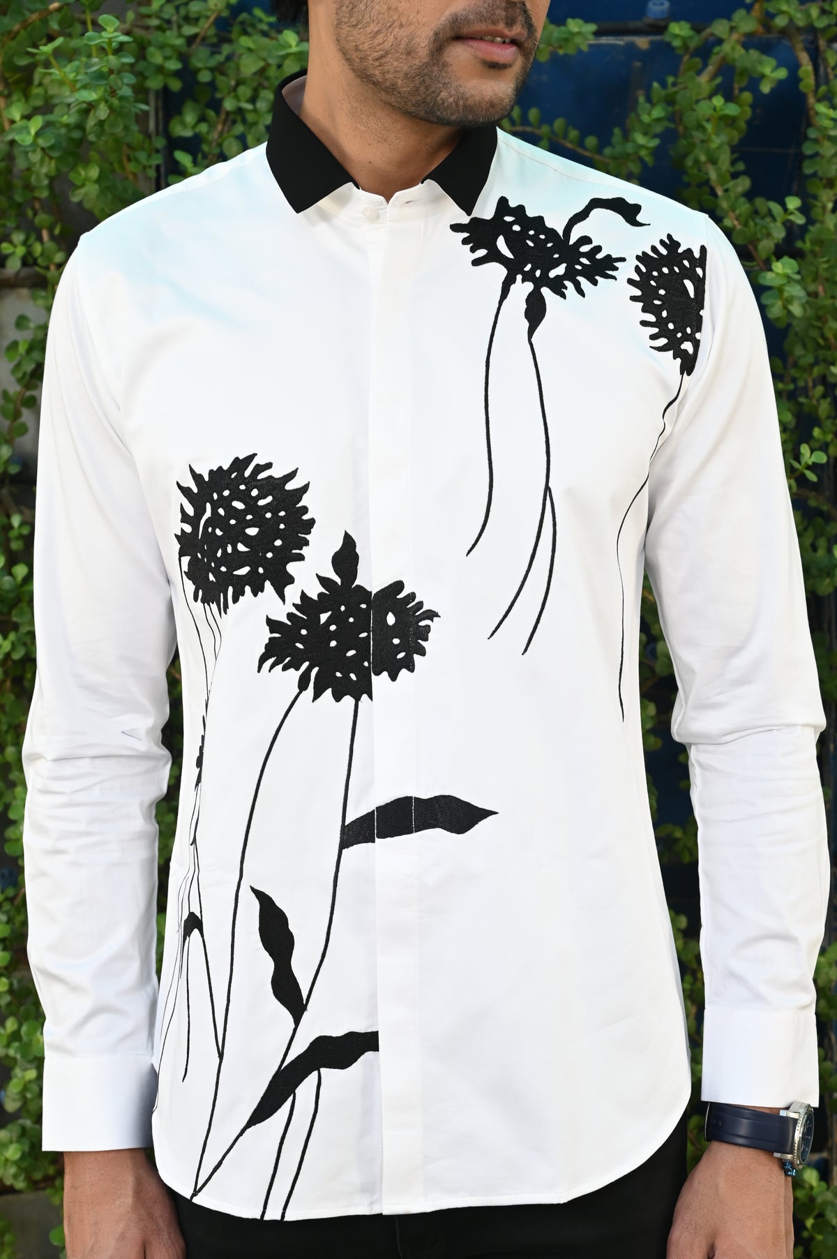 Black Chrysanthemum.